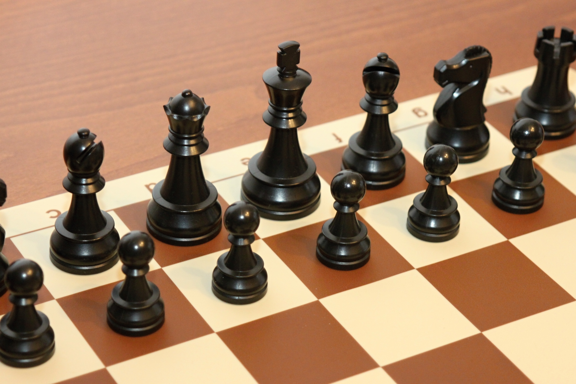 DGT Plastové figurky turnajové + nemačkavá šachovnice