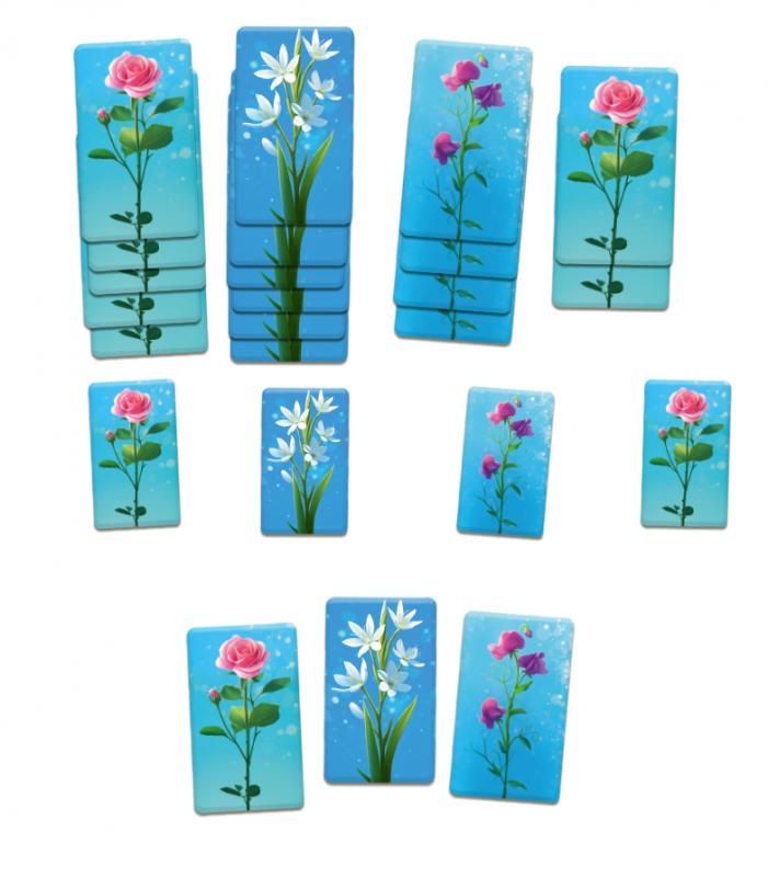 Flora