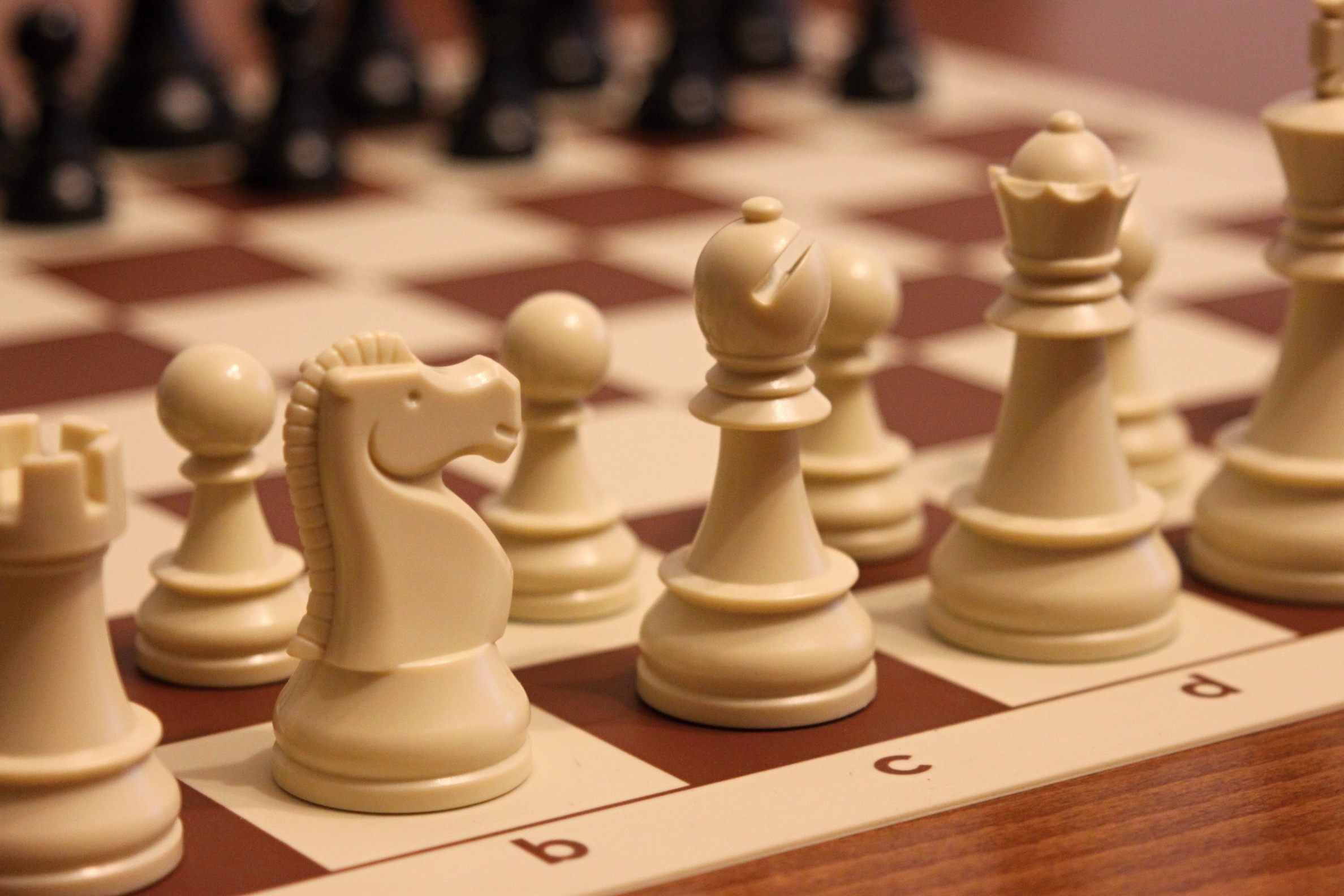 DGT Plastové figurky turnajové + nemačkavá šachovnice