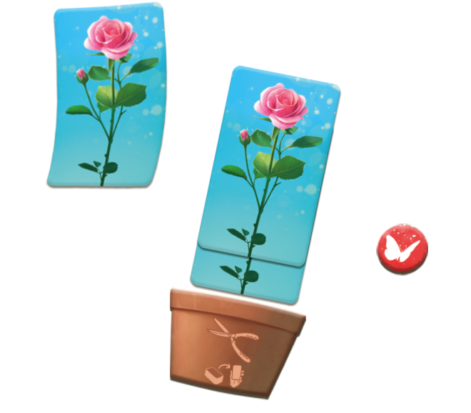 Flora