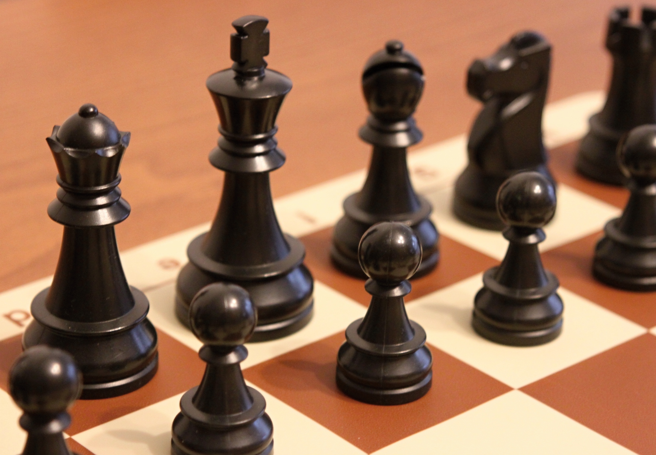 DGT Plastové figurky turnajové + nemačkavá šachovnice