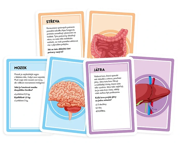 Pojďme se učit: Naše úžasné tělo