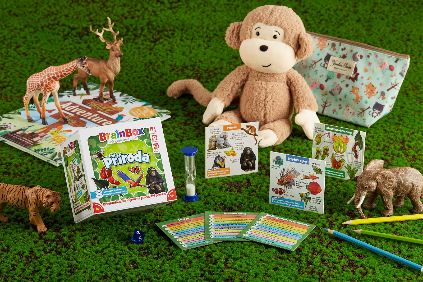 ADC Blackfire Brainbox - příroda